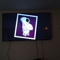 Smart Roku Tv 55inch