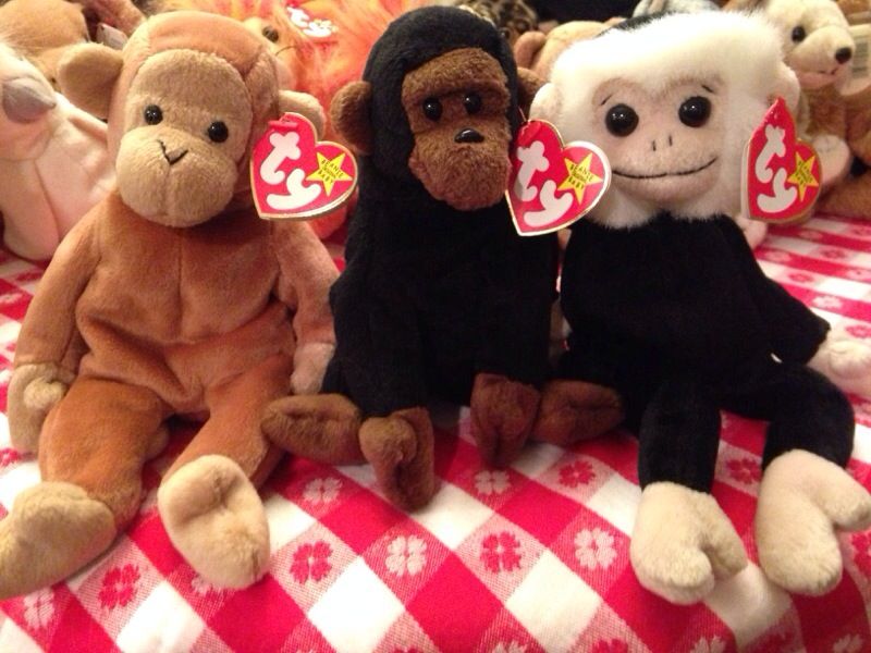 Ty monkeys