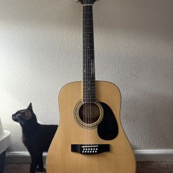 12 String Electric/Acoustic Guitar