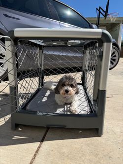Diggs foldable crate with groov lick toy for comfort
