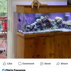 Reptile Tank With Stand And Hood