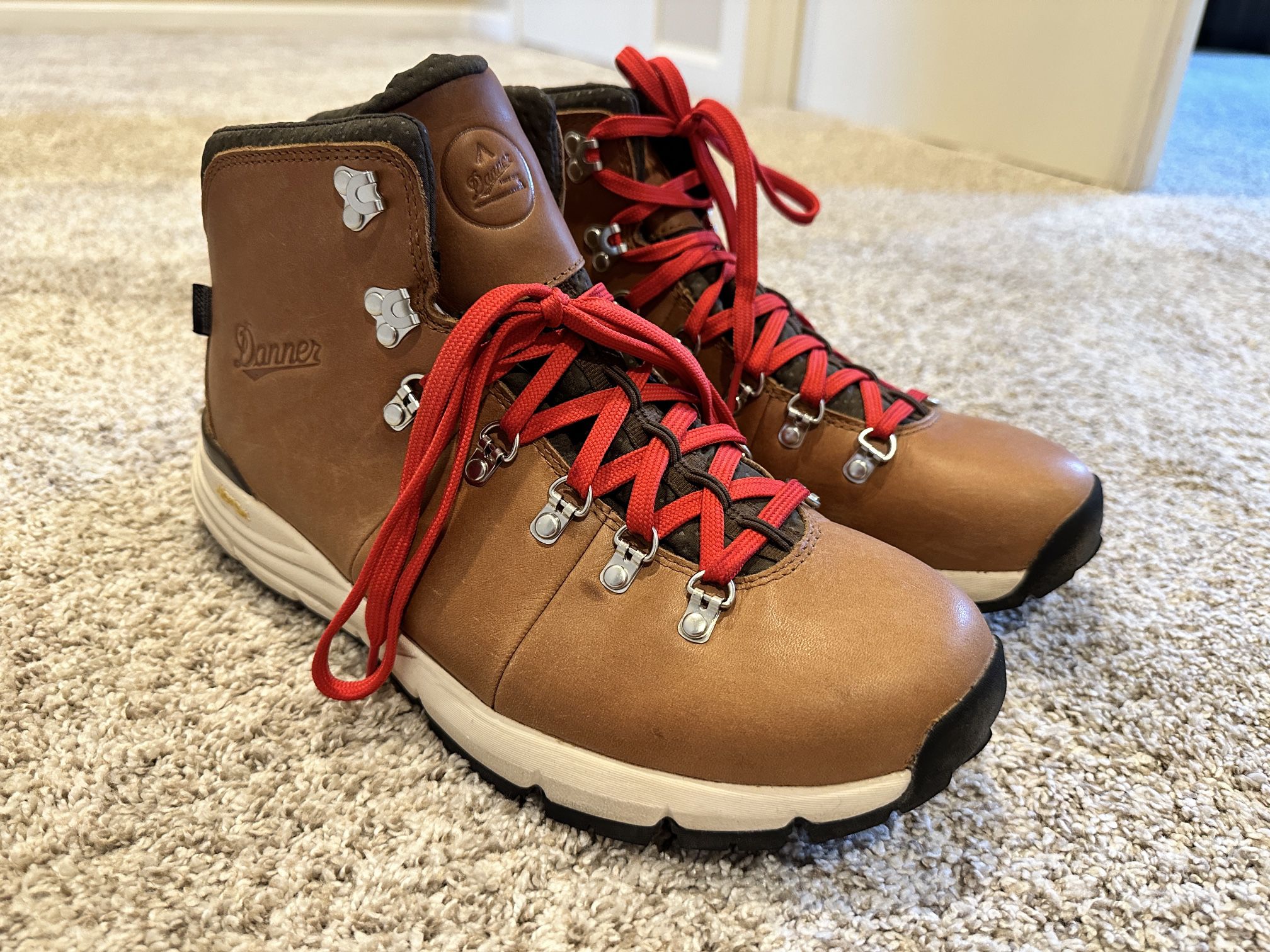 Danner Mountain 600 Gore Tex Men’s Hiking Boots