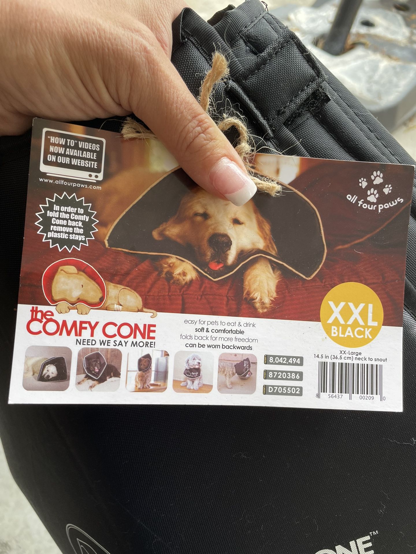 Pet Recovery Cone - XXL (New)