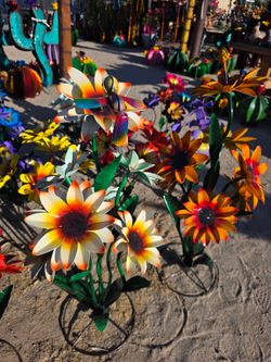 Forever Flowers🌺Metal Art Imports,POTS
Ocotillos,Agaves, Saguaros🌵