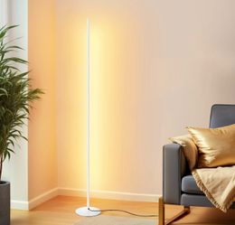 Dimmable LED Corner Floor Lamp.