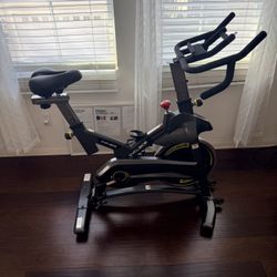 Cyclace Exercise Bike (stationary indoor cycle).