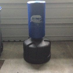 Wave Master Punching Bag
