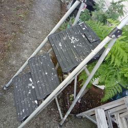 Ladder 3 Steps
