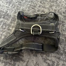 Dog Harness 
