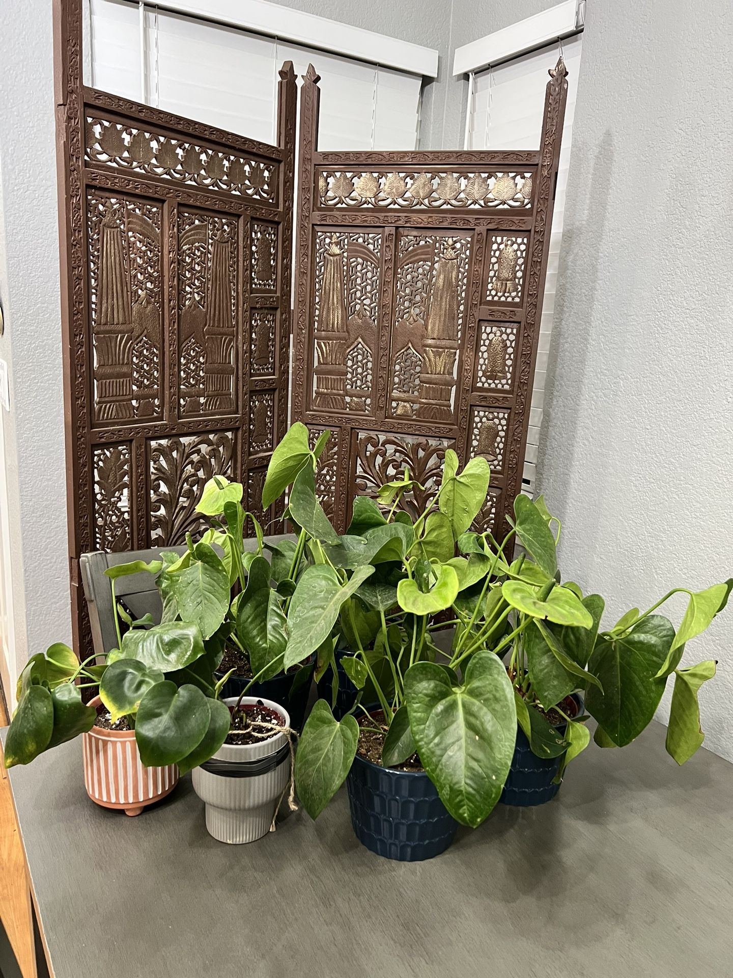 Fancy Tropical Plant Bundle 