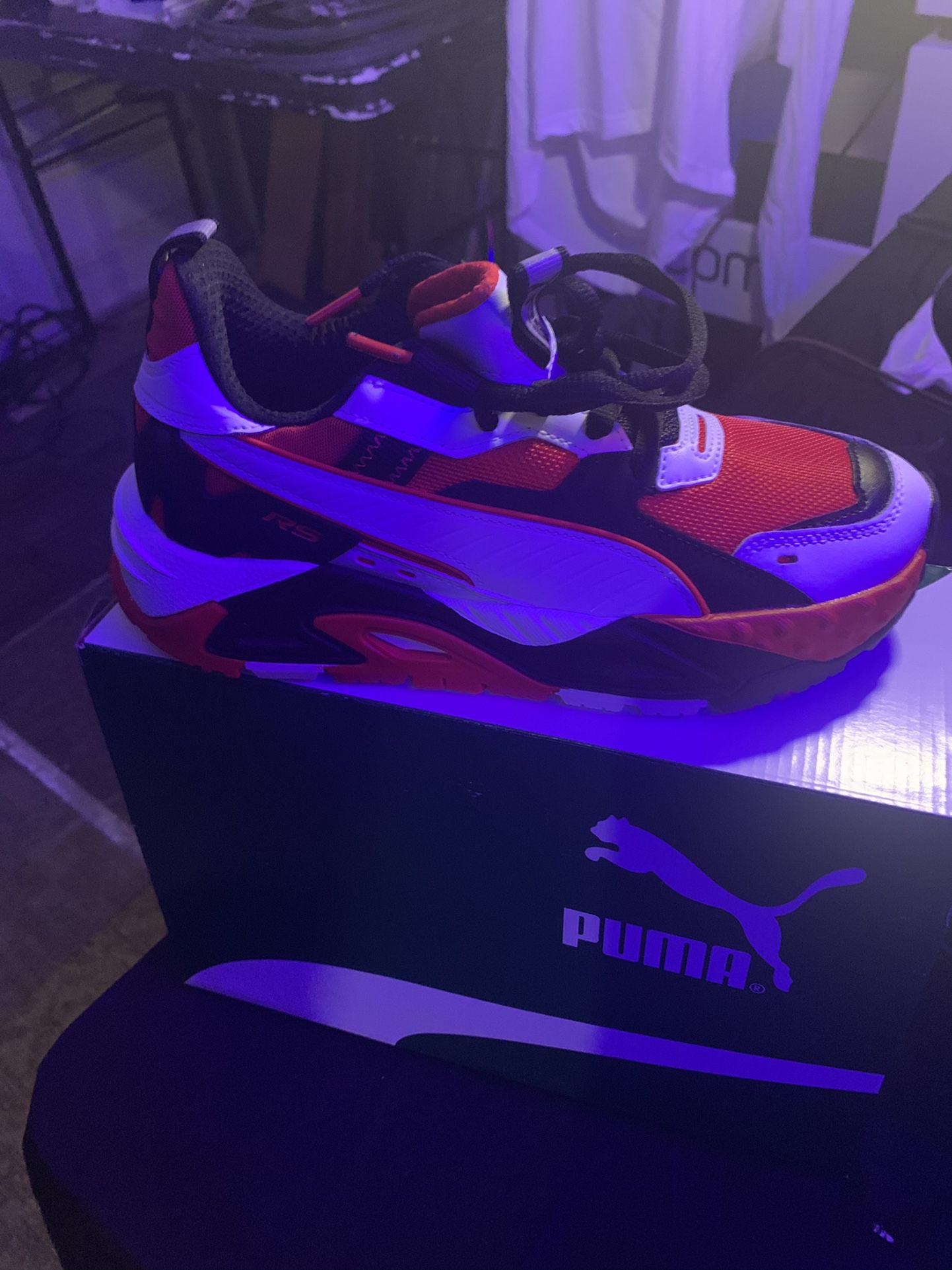Puma (brand New In Box )