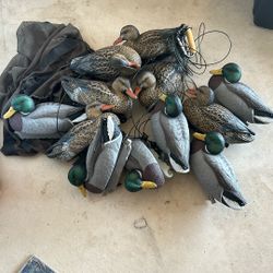 Set Of 12 Mallard Duck Decoys 