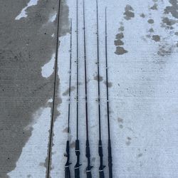 Lot Of 5 Fishing Rods