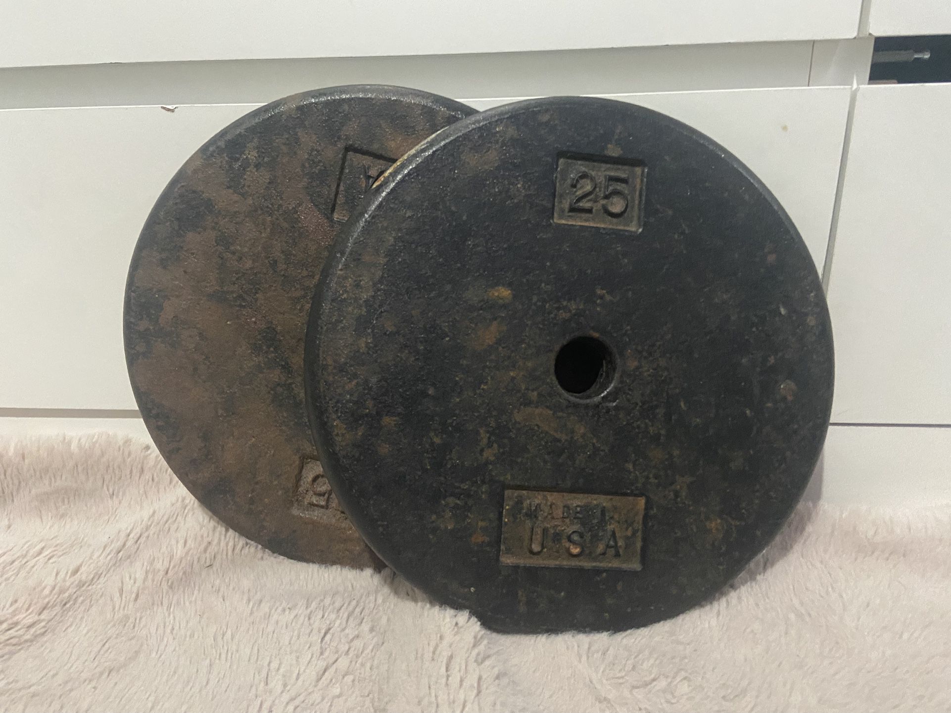 1’ Inch 25lb Weight Plates 