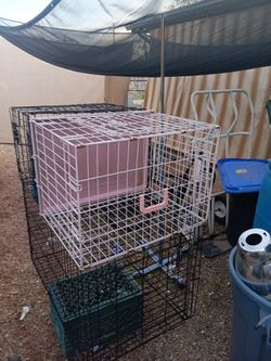 2 Small Precison Pet Cages One Pink One Blue  Also  1 Large $25 Each