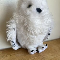 Harry Potter Owl