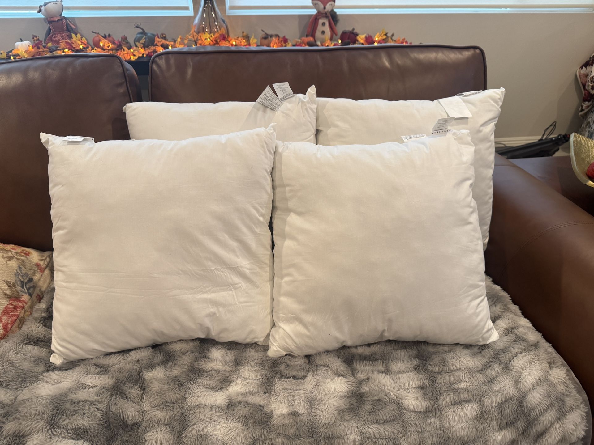 Pottery Barn Pillow Inserts