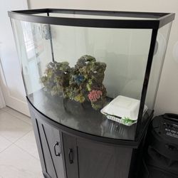 Fish tank 