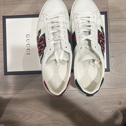Gucci Ace embroidered sneakers/shoes