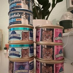 Kitten Wet Food 8 Cans 