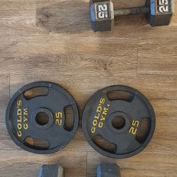 Weights 