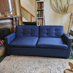 Sleeper Sofa/ Pull Out Couch