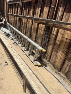 Ladders with extensions for sale