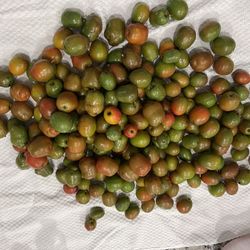 Ciruelas=Jocote Fruit Available $7 Per Pound Or 3 Lbs For $20,located In WPB 33412 Acreage,PICK UP  Only 
