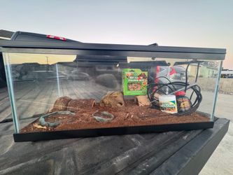 Leopard Gecko Enclosure