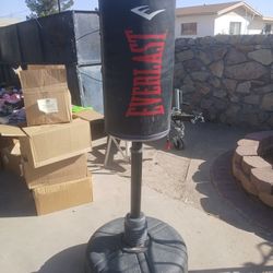 Everlast Stand-up Punching Bag