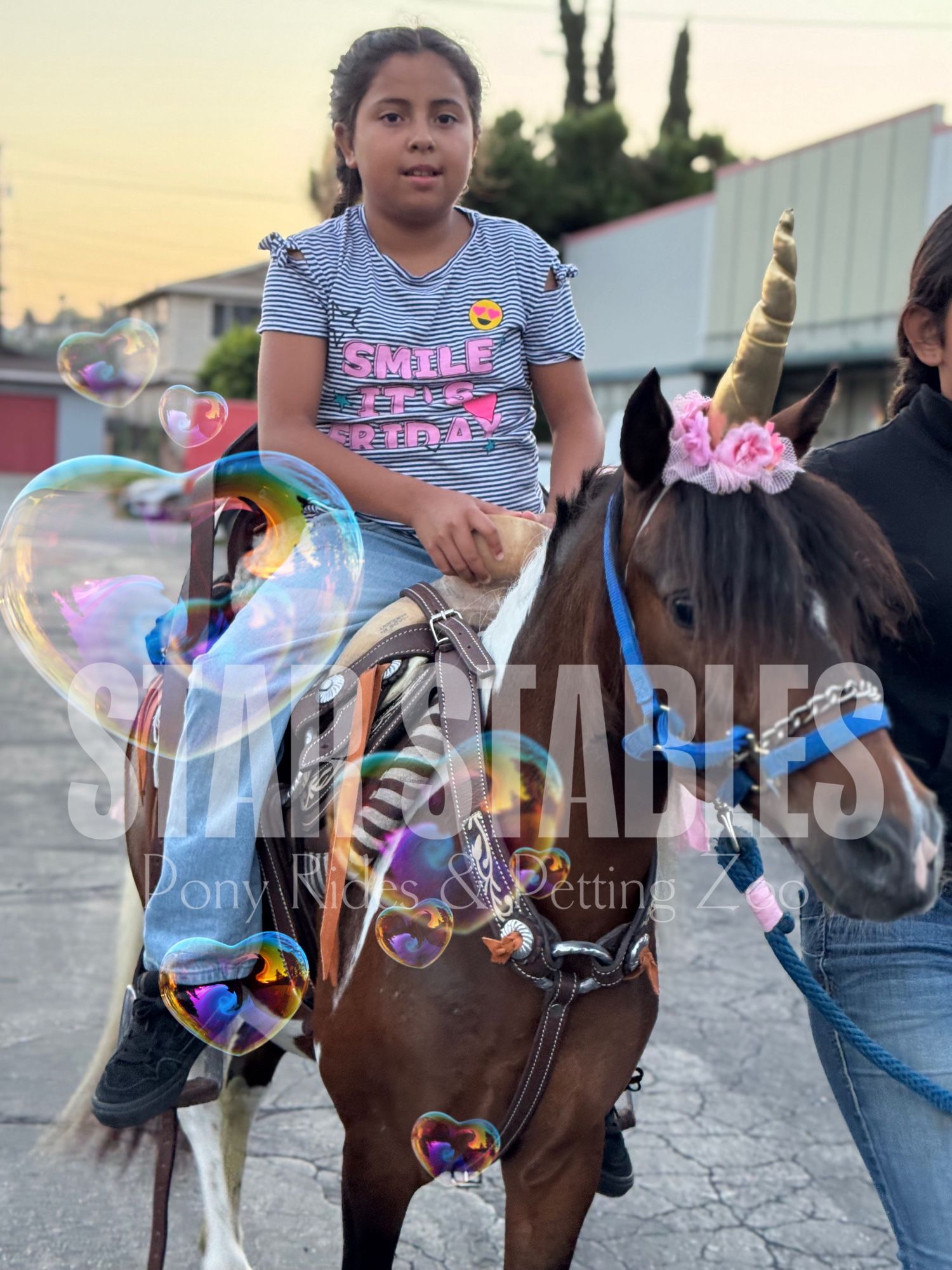 Party With A Pony Petting Zoo