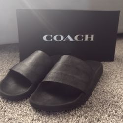 Coach Slides Size 6