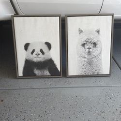 Picture Frames