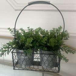 Plants Decor