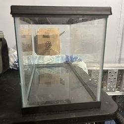 10 Gallon Tank