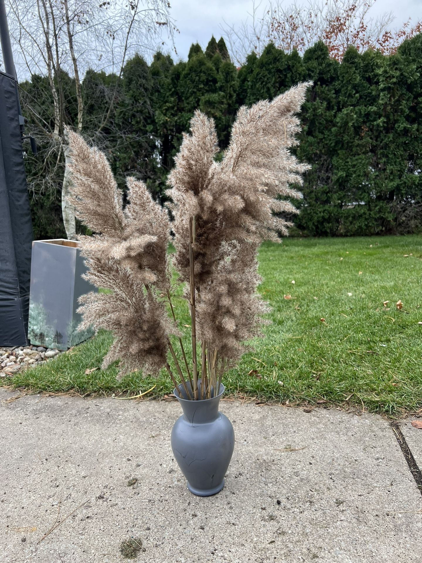 Pampas Decoration
