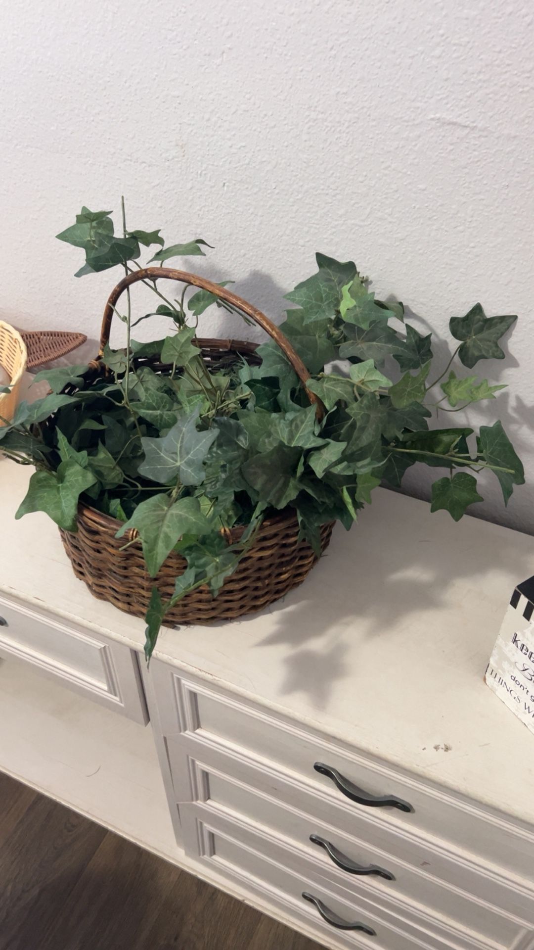 Fake Plants