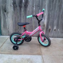 Children's Nishiki Bicycle 