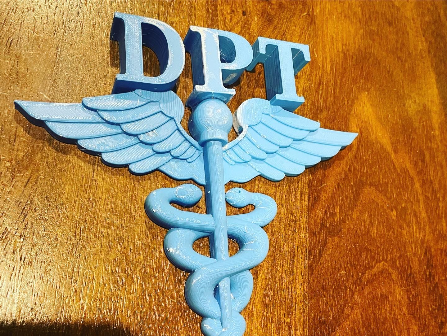Dpt Medical Symbol Physical Therapy