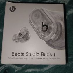Beats Earbuds
