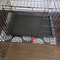 Large dog kennel never used 