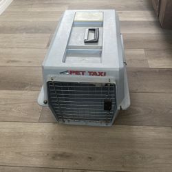 Pet Taxi