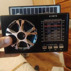 Radio And Bluetooth Speaker