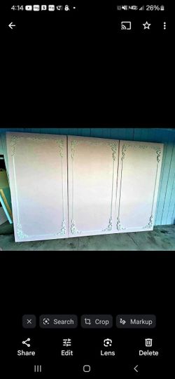 Pink Coquette Backdrop