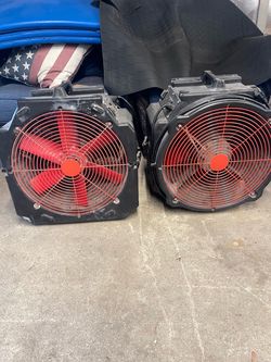 Fans