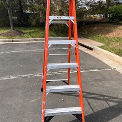 WERNER 6ft ladder