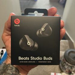 Beats Studio Ear Buds