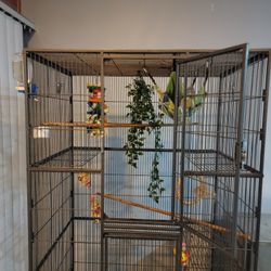 Cage