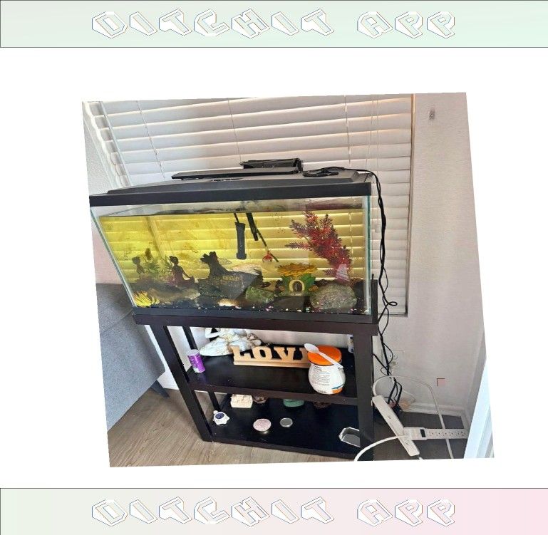 All-Set Aquarium Package - Discover Water World Magic need let