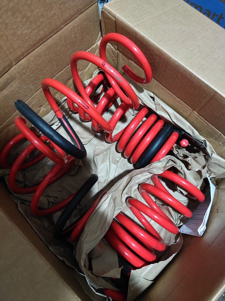 Lowering Springs Mustang